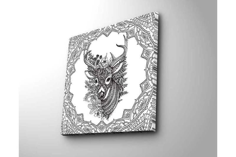 Lerretsbilde 45x45 cm - Detaljert illustrasjon av et hjortehode omgitt av ornamentale mønstre - Svart / Hvit - Interiør - Maleri & posters - Lerretsbilder