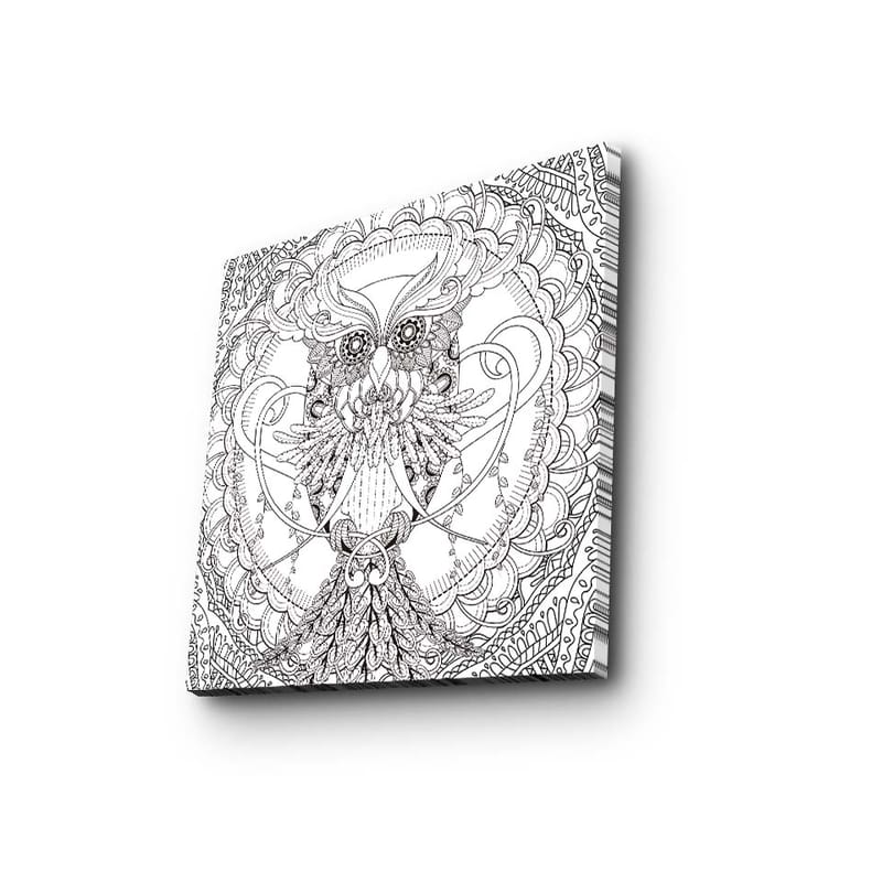 Lerretsbilde 45x45 cm - Detaljert og stilisert ugle omgitt av ornamentale mønstre - Svart / Hvit - Interiør - Maleri & posters - Lerretsbilder
