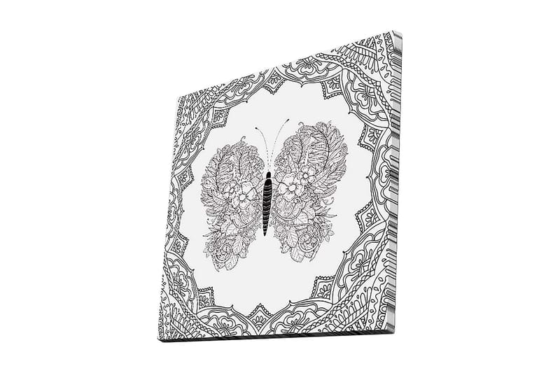 Lerretsbilde 45x45 cm - Detaljert sommerfugl med blomstermønster og ornamentikk, Svart / Hvit