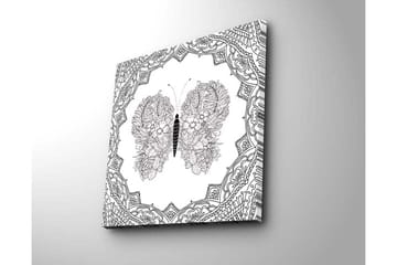 Lerretsbilde 45x45 cm - Detaljert sommerfugl med blomstermønster og ornamentikk - Svart / Hvit - Interiør - Maleri & posters - Lerretsbilder