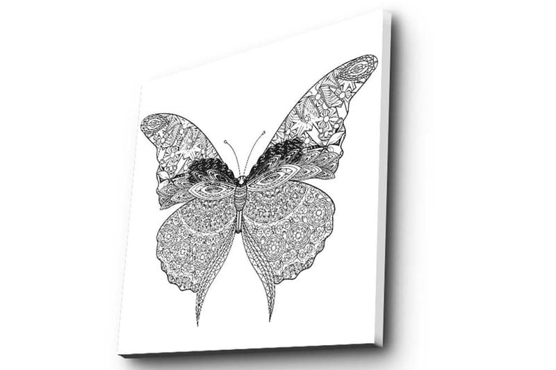 Lerretsbilde 45x45 cm - Detaljert sommerfugl med intrikate mønstre - Svart / Hvit - Interiør - Maleri & posters - Lerretsbilder