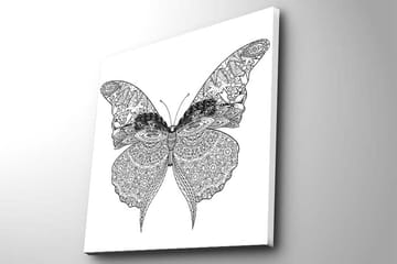 Lerretsbilde 45x45 cm - Detaljert sommerfugl med intrikate mønstre - Svart / Hvit - Interiør - Maleri & posters - Lerretsbilder