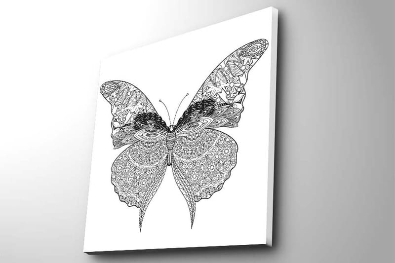 Lerretsbilde 45x45 cm - Detaljert sommerfugl med intrikate mønstre - Svart / Hvit - Interiør - Maleri & posters - Lerretsbilder