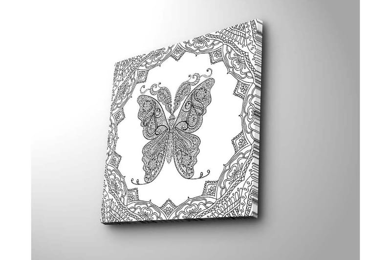 Lerretsbilde 45x45 cm - Detaljert sommerfugl med ornamentale mønstre - Svart / Hvit - Interiør - Maleri & posters - Lerretsbilder