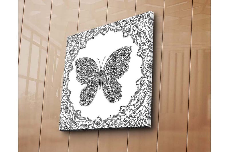 Lerretsbilde 45x45 cm - Detaljert sommerfugl omgitt av ornamentale mønstre - Svart / Hvit - Interiør - Maleri & posters - Lerretsbilder