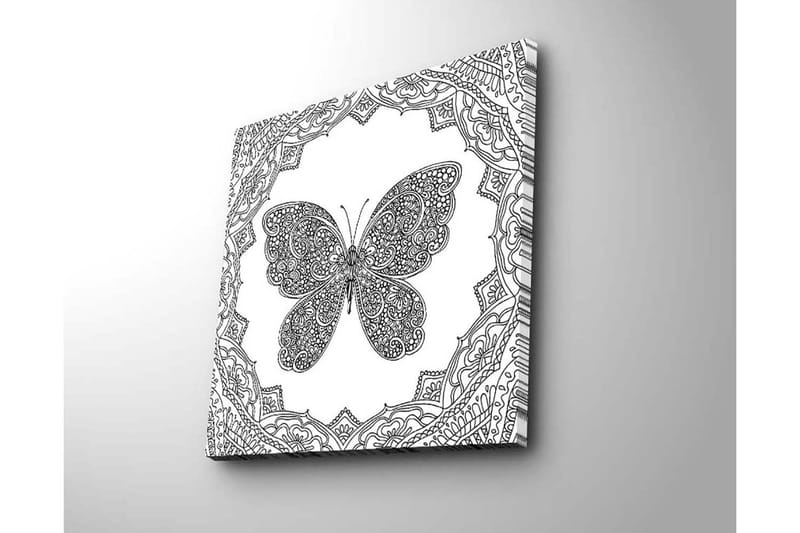 Lerretsbilde 45x45 cm - Detaljert sommerfugl omgitt av ornamentale mønstre - Svart / Hvit - Interiør - Maleri & posters - Lerretsbilder