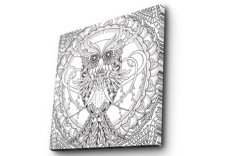 Lerretsbilde 45x45 cm - Detaljert svart-hvitt ugle med intrikate mønstre - Svart / Hvit - Interiør - Maleri & posters - Lerretsbilder