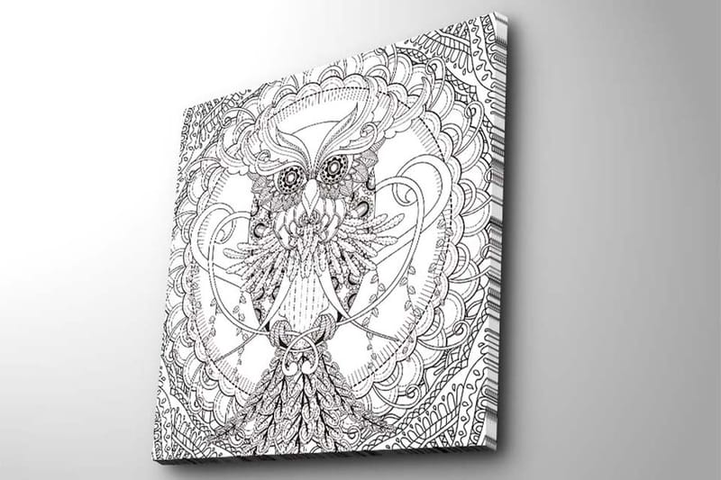 Lerretsbilde 45x45 cm - Detaljert svart-hvitt ugle med intrikate mønstre - Svart / Hvit - Interiør - Maleri & posters - Lerretsbilder