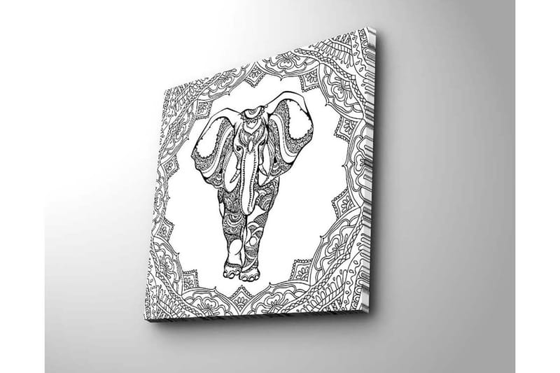 Lerretsbilde 45x45 cm - Elefant i detaljert mandalamønster - Svart / Hvit - Interiør - Maleri & posters - Lerretsbilder