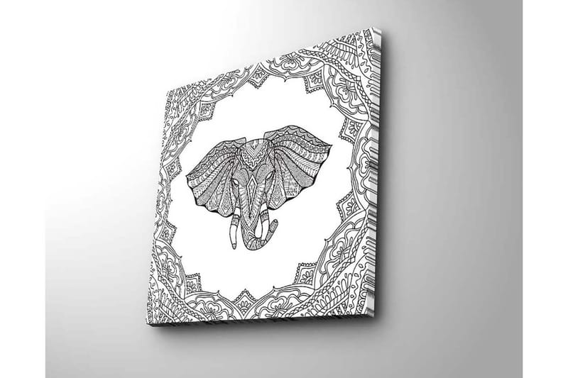 Lerretsbilde 45x45 cm - Elefant med intrikate mønstre i en dekorativ ramme - Svart / Hvit - Interiør - Maleri & posters - Lerretsbilder