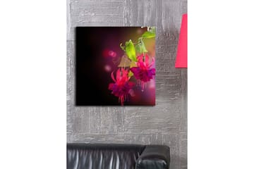 Lerretsbilde 45x45 cm - Fargerik hengende fuchsia med grønne blader - Rosa / Lilla / Grønn - Interiør - Maleri & posters - Lerretsbilder