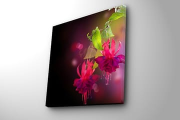 Lerretsbilde 45x45 cm - Fargerik hengende fuchsia med grønne blader - Rosa / Lilla / Grønn - Interiør - Maleri & posters - Lerretsbilder