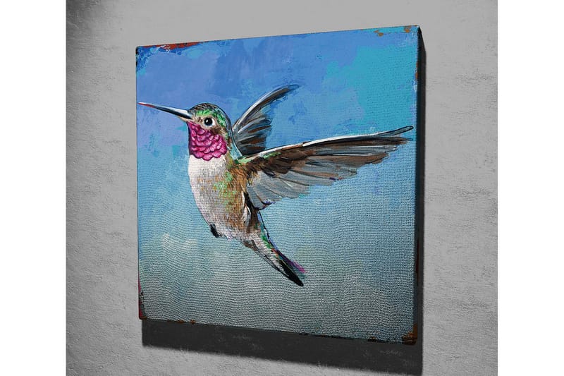 Lerretsbilde 45x45 cm - Fargerik kolibri i flukt - Turkis / Rosa / Grønn - Interiør - Maleri & posters - Lerretsbilder