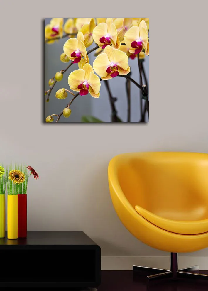 Lerretsbilde 45x45 cm - Fargerik orkidé med gule og rosa blomster - Gul / Rosa - Interiør - Maleri & posters - Lerretsbilder