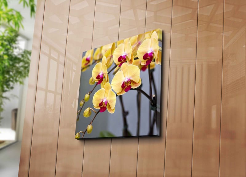 Lerretsbilde 45x45 cm - Fargerik orkidé med gule og rosa blomster - Gul / Rosa - Interiør - Maleri & posters - Lerretsbilder