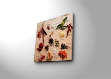 Lerretsbilde 45x45 cm - Fargerik samling av krydder og urter - Rød / Grønn / Brun - Interiør - Maleri & posters - Lerretsbilder