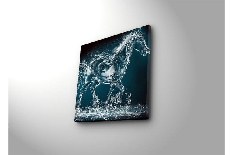 Lerretsbilde 45x45 cm - Hest i bevegelse synlig gjennom vannsprut - Blå / Gjennomsiktig / Hvit - Interiør - Maleri & posters - Lerretsbilder