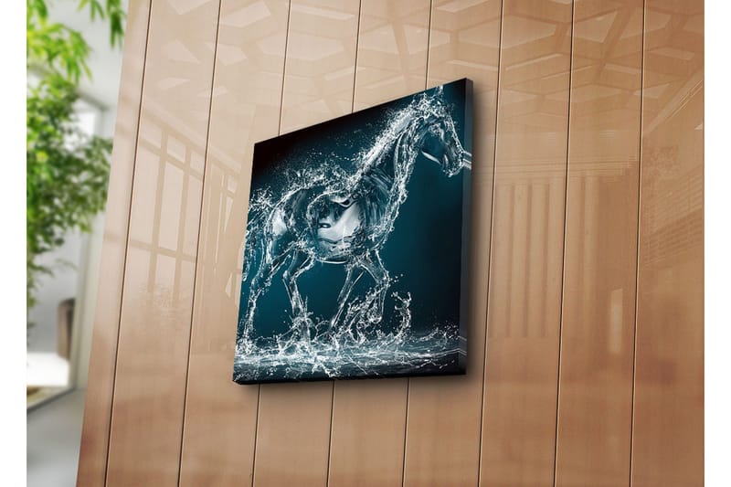 Lerretsbilde 45x45 cm - Hest i bevegelse synlig gjennom vannsprut - Blå / Gjennomsiktig / Hvit - Interiør - Maleri & posters - Lerretsbilder