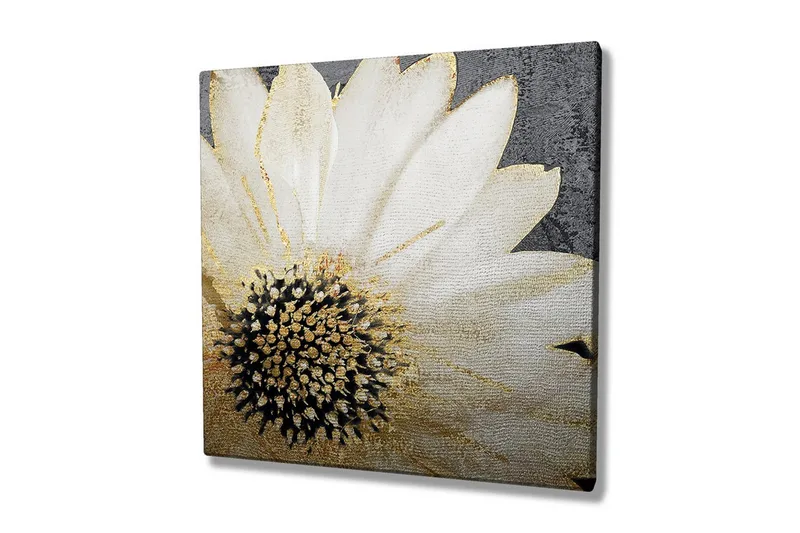 Lerretsbilde 45x45 cm - Hvit blomst med svart midtpunkt og gylne detaljer - Hvit / Svart / Gull - Interiør - Maleri & posters - Lerretsbilder