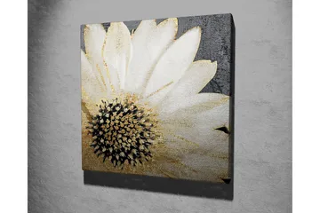 Lerretsbilde 45x45 cm - Hvit blomst med svart midtpunkt og gylne detaljer - Hvit / Svart / Gull - Interiør - Maleri & posters - Lerretsbilder