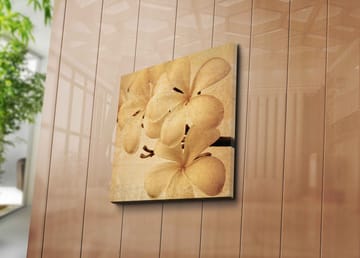 Lerretsbilde 45x45 cm - Hvit orkidé med myke kronblader - Hvit / Beige / Brun - Interiør - Maleri & posters - Lerretsbilder