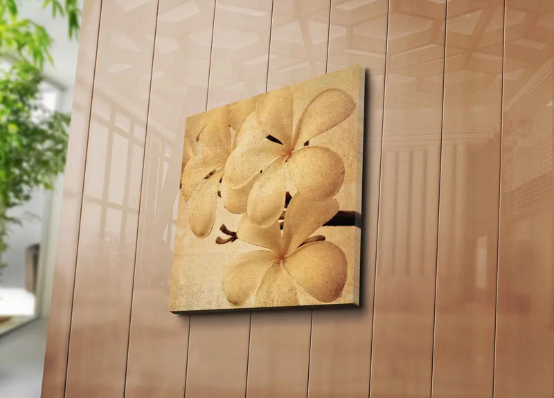 Lerretsbilde 45x45 cm - Hvit orkidé med myke kronblader - Hvit / Beige / Brun - Interiør - Maleri & posters - Lerretsbilder