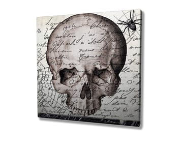 Lerretsbilde 45x45 cm - Mørk hodeskalle med håndskrevet tekst og edderkoppmotiv - Grå / Svart / Beige - Interiør - Maleri & posters - Lerretsbilder