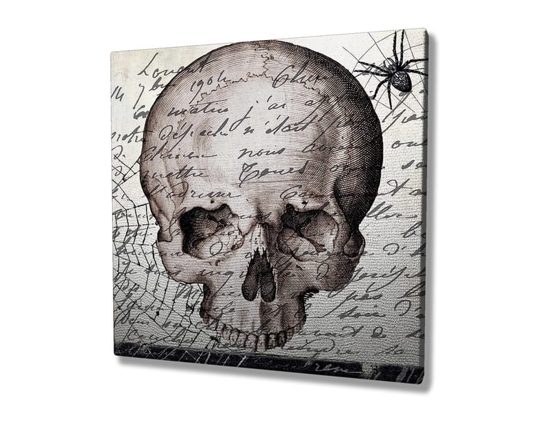 Lerretsbilde 45x45 cm - Mørk hodeskalle med håndskrevet tekst og edderkoppmotiv - Grå / Svart / Beige - Interiør - Maleri & posters - Lerretsbilder