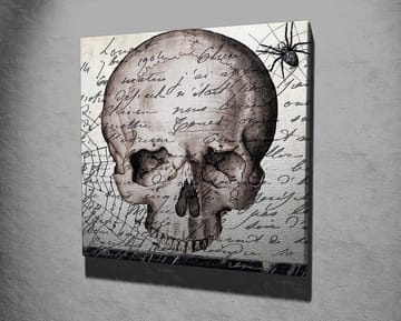 Lerretsbilde 45x45 cm - Mørk hodeskalle med håndskrevet tekst og edderkoppmotiv - Grå / Svart / Beige - Interiør - Maleri & posters - Lerretsbilder