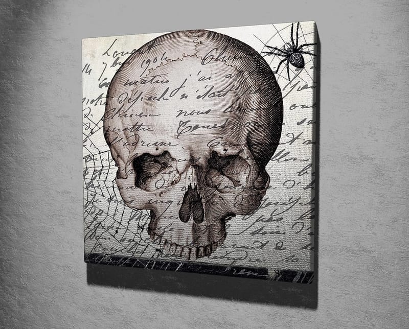 Lerretsbilde 45x45 cm - Mørk hodeskalle med håndskrevet tekst og edderkoppmotiv - Grå / Svart / Beige - Interiør - Maleri & posters - Lerretsbilder