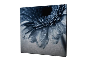 Lerretsbilde 45x45 cm - Nærbilde av en blomst med vanndråper på kronbladene - Blå / Grå - Interiør - Maleri & posters - Lerretsbilder