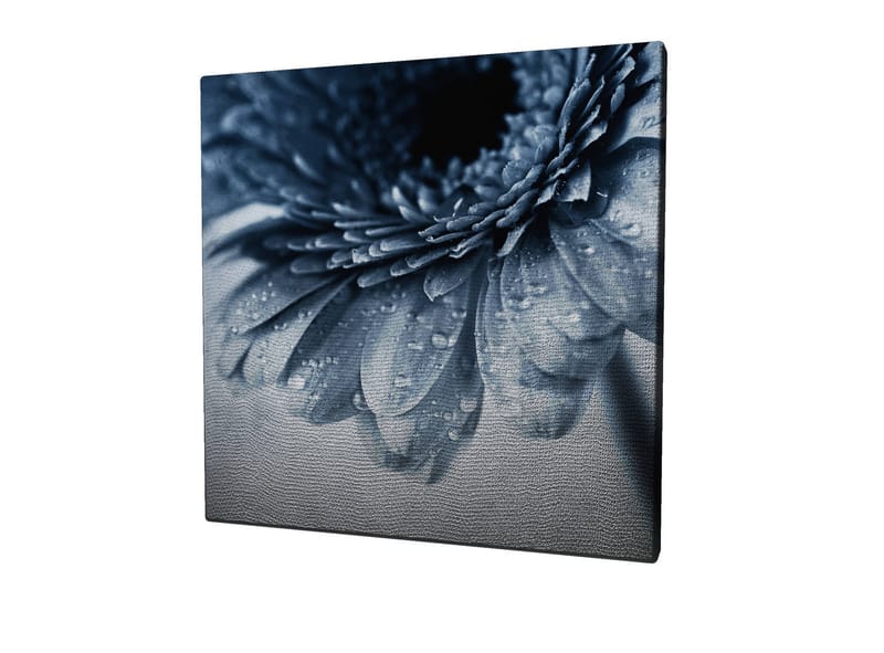 Lerretsbilde 45x45 cm - Nærbilde av en blomst med vanndråper på kronbladene - Blå / Grå - Interiør - Maleri & posters - Lerretsbilder