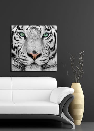 Lerretsbilde 45x45 cm - Nærbilde av en hvit tiger med intense øyne - Hvit / Svart / Grønn - Interiør - Maleri & posters - Lerretsbilder