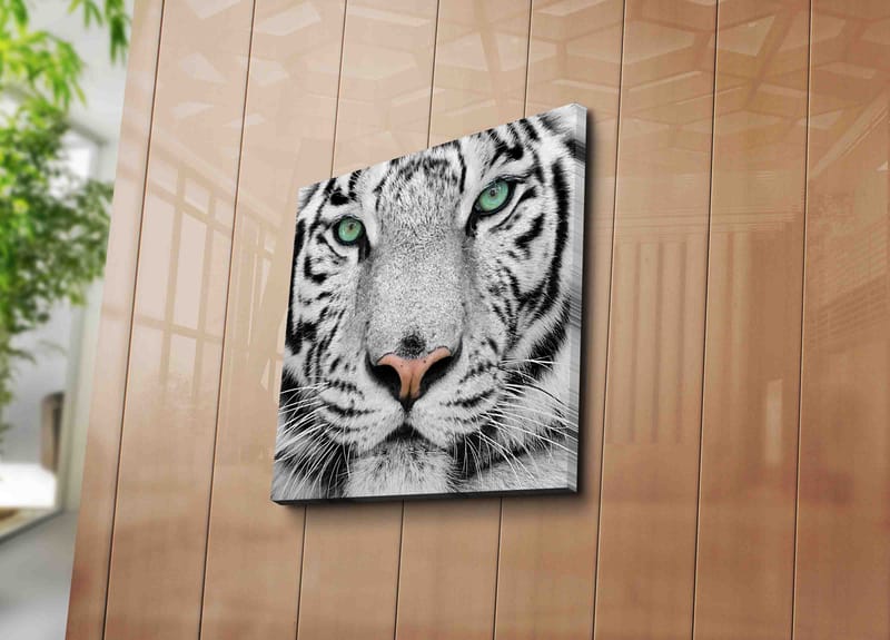 Lerretsbilde 45x45 cm - Nærbilde av en hvit tiger med intense øyne - Hvit / Svart / Grønn - Interiør - Maleri & posters - Lerretsbilder