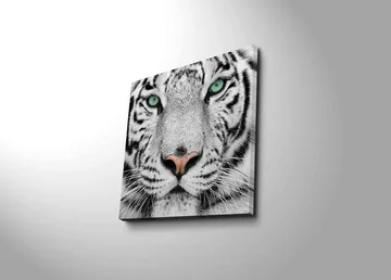 Lerretsbilde 45x45 cm - Nærbilde av en hvit tiger med intense øyne - Hvit / Svart / Grønn - Interiør - Maleri & posters - Lerretsbilder