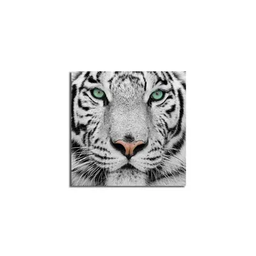 Lerretsbilde 45x45 cm - Nærbilde av en hvit tiger med intense øyne - Hvit / Svart / Grønn - Interiør - Maleri & posters - Lerretsbilder