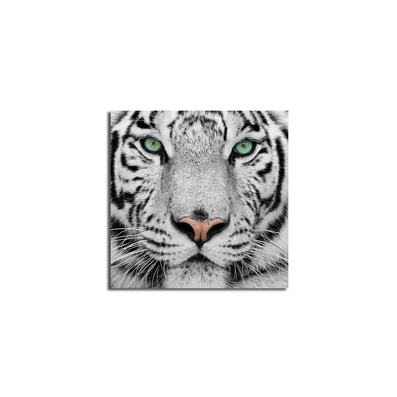 Lerretsbilde 45x45 cm - Nærbilde av en hvit tiger med intense øyne - Hvit / Svart / Grønn - Interiør - Maleri & posters - Lerretsbilder