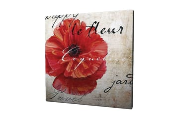 Lerretsbilde 45x45 cm - Rød valmue med håndskrevet tekst i bakgrunnen - Rød / Beige / Svart - Interiør - Maleri & posters - Lerretsbilder
