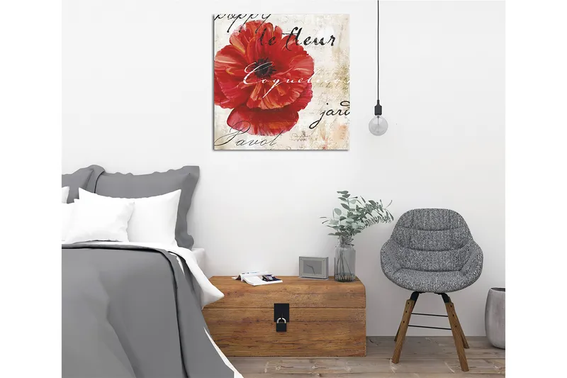 Lerretsbilde 45x45 cm - Rød valmue med håndskrevet tekst i bakgrunnen - Rød / Beige / Svart - Interiør - Maleri & posters - Lerretsbilder