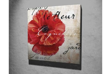 Lerretsbilde 45x45 cm - Rød valmue med håndskrevet tekst i bakgrunnen - Rød / Beige / Svart - Interiør - Maleri & posters - Lerretsbilder