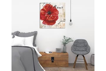 Lerretsbilde 45x45 cm - Rød valmue med håndskrevet tekst i bakgrunnen - Rød / Beige / Svart - Interiør - Maleri & posters - Lerretsbilder
