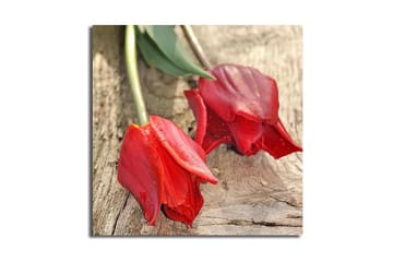 Lerretsbilde 45x45 cm - Røde tulipaner på en treflate - Rød / Grønn - Interiør - Maleri & posters - Lerretsbilder