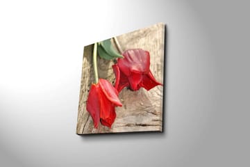 Lerretsbilde 45x45 cm - Røde tulipaner på en treflate - Rød / Grønn - Interiør - Maleri & posters - Lerretsbilder