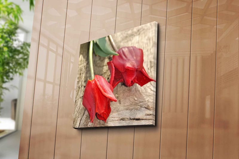 Lerretsbilde 45x45 cm - Røde tulipaner på en treflate - Rød / Grønn - Interiør - Maleri & posters - Lerretsbilder