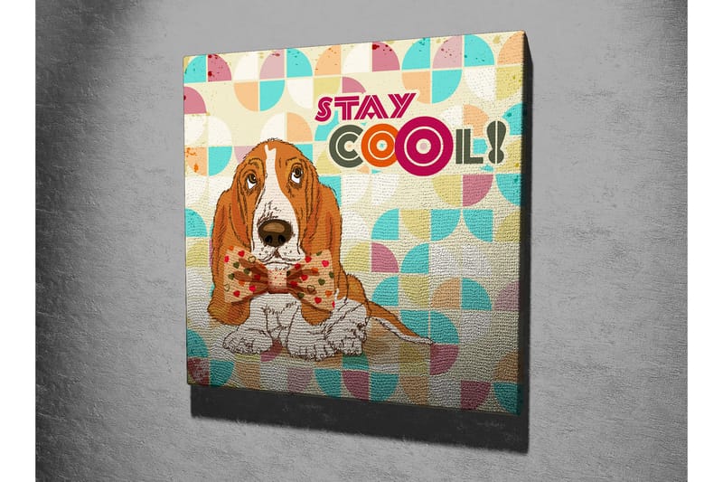 Lerretsbilde 45x45 cm - Søt bassethund med en fin sløyfe - Oransje / Blå / Beige - Interiør - Maleri & posters - Lerretsbilder