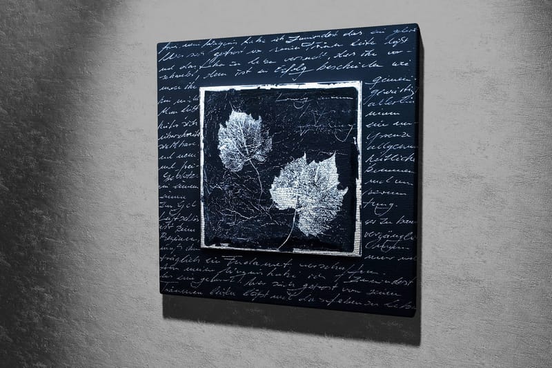 Lerretsbilde 45x45 cm - Silhuetter av blader på mørk bakgrunn med teksturert overflate - Svart / Hvit - Interiør - Maleri & posters - Lerretsbilder