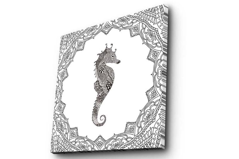 Lerretsbilde 45x45 cm - Sjødrage i detaljert svart-hvitt-stil - Svart / Hvit - Interiør - Maleri & posters - Lerretsbilder