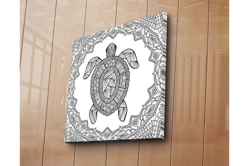 Lerretsbilde 45x45 cm - Skilpadde i geometrisk stil omgitt av dekorative mønstre - Svart / Hvit - Interiør - Maleri & posters - Lerretsbilder