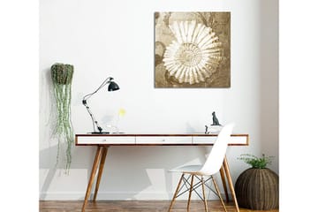 Lerretsbilde 45x45 cm - Skjell med detaljert struktur på en myk bakgrunn - Hvit / Beige / Grå - Interiør - Maleri & posters - Lerretsbilder