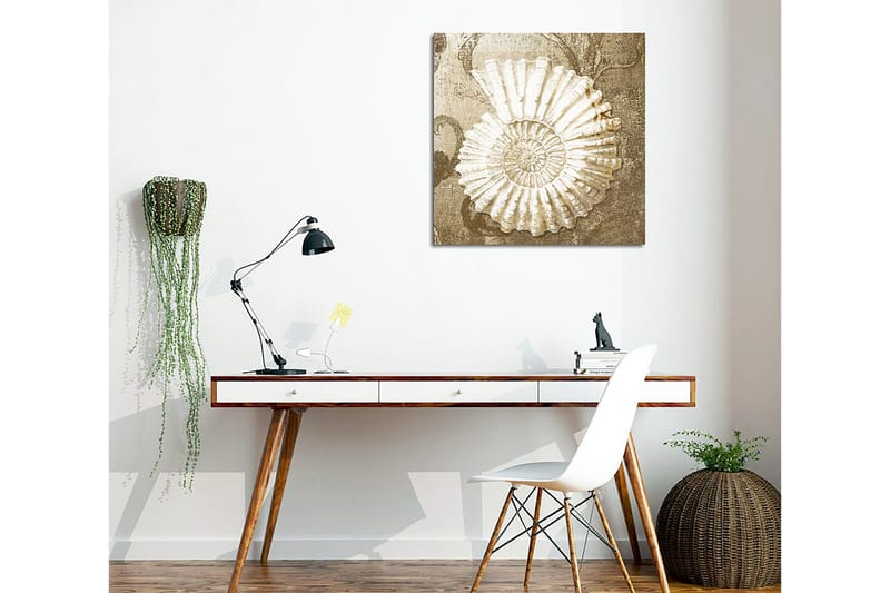 Lerretsbilde 45x45 cm - Skjell med detaljert struktur på en myk bakgrunn - Hvit / Beige / Grå - Interiør - Maleri & posters - Lerretsbilder